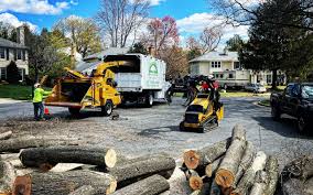 Best Commercial Tree Services  in Duncan Falls, OH